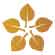A simple illustration of five yellow-brown leaves arranged in a circular pattern with their tips pointing outward, resembling a star or flower shape—an inviting symbol for Retirement Living at MorningStar Senior Living Kirkland.